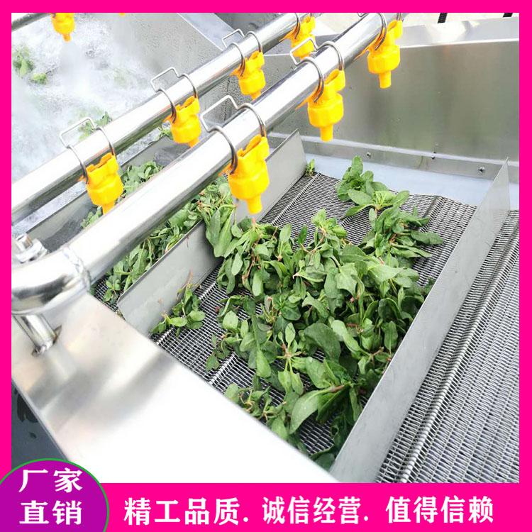 毛豆清洗蒸煮线 毛豆漂烫杀青流水线 枸杞葡萄干清洗风干机 花椒漂烫杀青冷却机