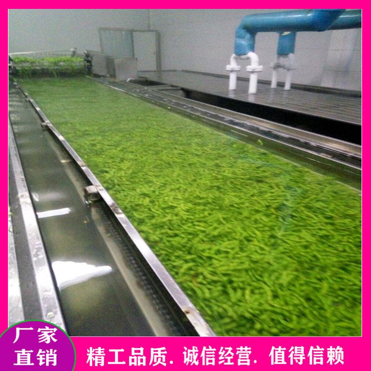 供应海带清洗机 海带速冻流水线 青菜去泥去杂机 杀青漂烫机 气泡喷淋式果蔬清洗流水线