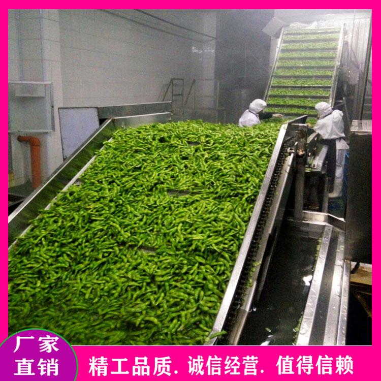 海白菜清洗机 气泡脱盐清洗机 雪菜清洗流水线 毛豆清洗漂烫机 中央厨房净菜加工设备