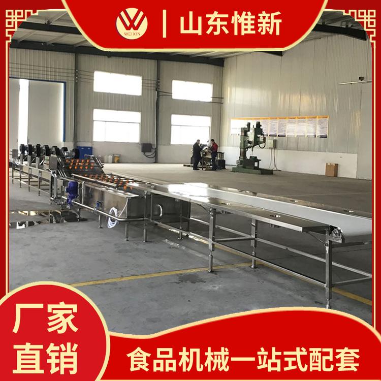 直销蓝梅清洗风干线 气泡翻转蔬果清洗机 大姜清洗风干流水线