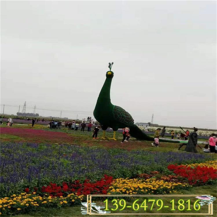 草花鼠尾草全国销售 全国供应多年生鼠尾草 墨西哥鼠尾草