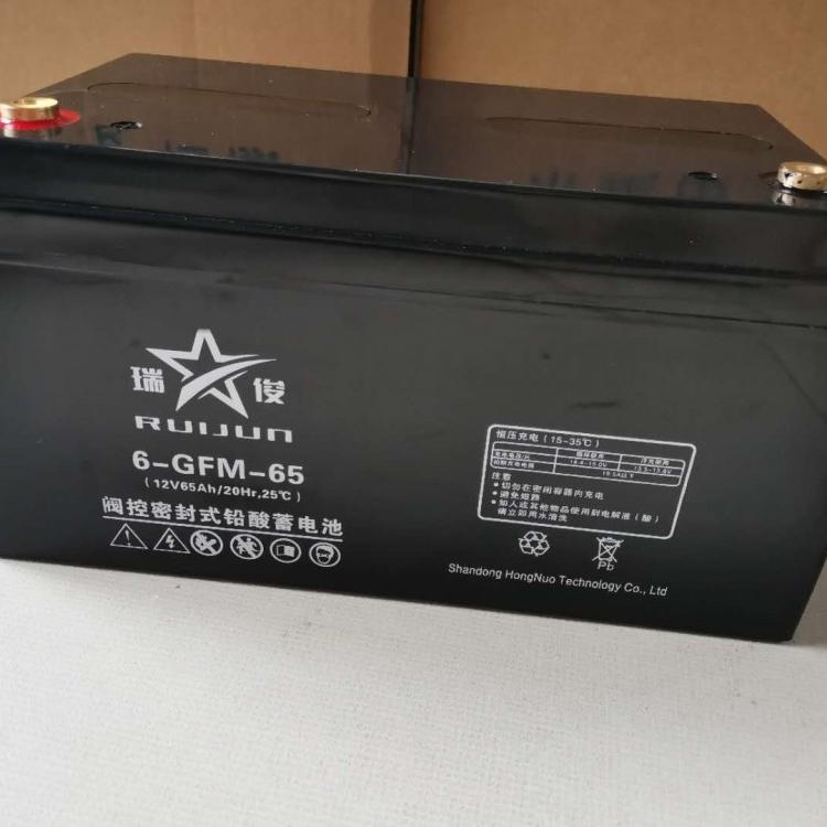 瑞俊蓄电池6-GFM-80 12V80AH蓄电池 免维护阀控式蓄电池厂家