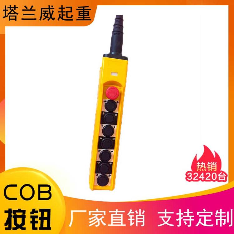 电动葫芦COB按钮 电动葫芦控制按钮 电动葫芦磨菇头按钮电动葫芦双速按钮