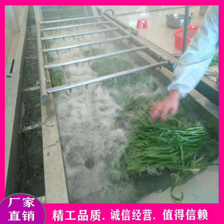 蔬菜浸泡式清洗风干线 清洗风干脱水设备 多功能蔬菜清洗机 毛豆清洗漂烫护色流水线