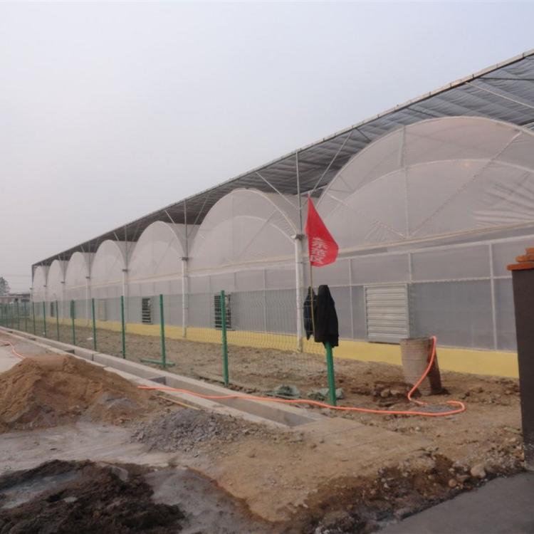 承建玻璃温室阳光板温室连栋温室薄膜温室