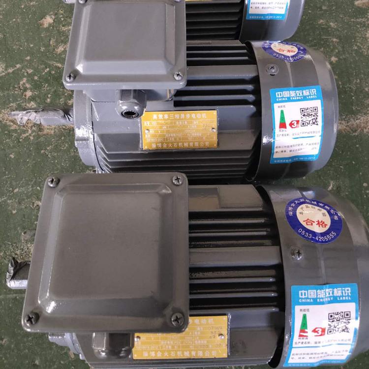 三相异步电动机 金火石YE2-Y100L1-4高效节能电动机
