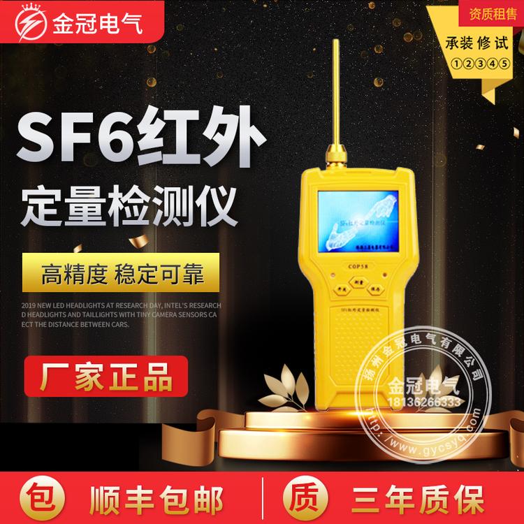 SF6气体检漏仪 SF6红外定量检测仪 六氟化硫气体检测仪