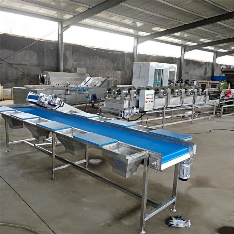 包子馅料清洗机 厂家批发净菜加工设备