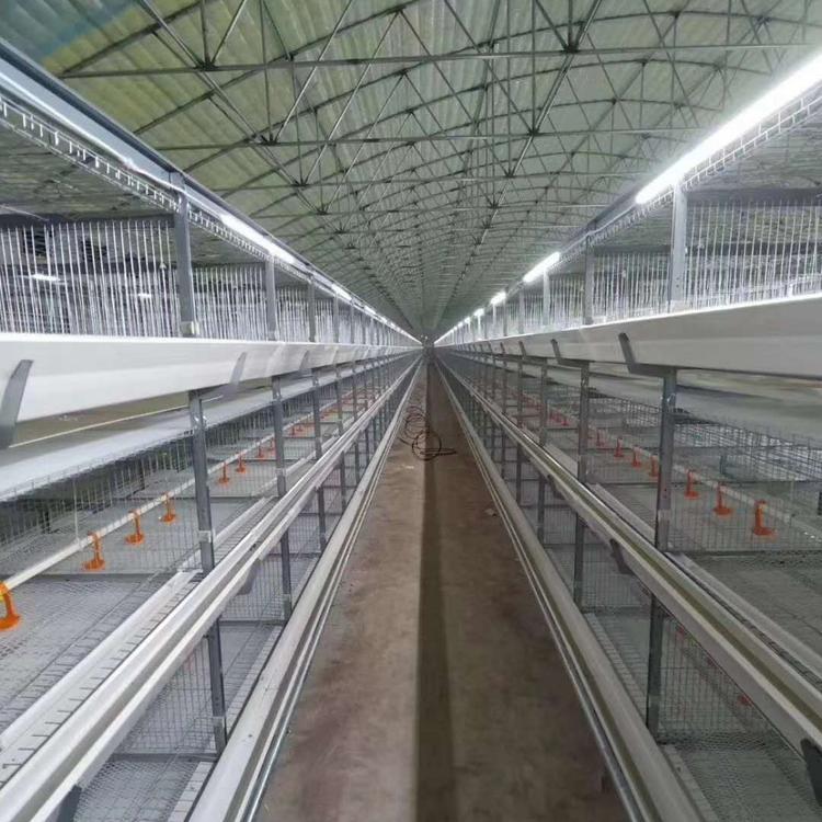 鸡笼  框架鸡笼  鸡笼批发  肉鸡笼 自动清粪带鸡笼 富博晟业农牧