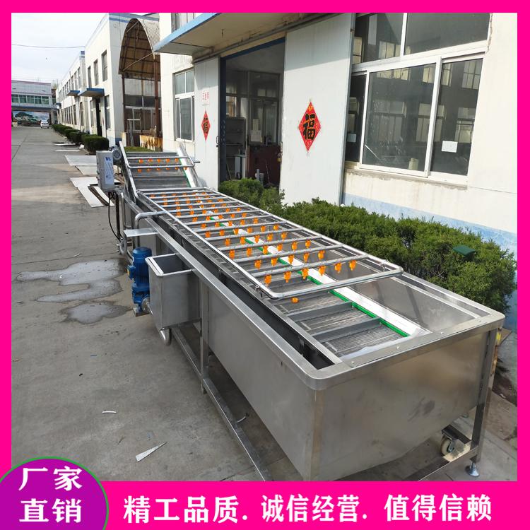 毛豆清洗机生产厂家 大型毛豆成套处理设备 连续式毛豆蒸煮漂烫机 多功能蔬菜清洗流水线