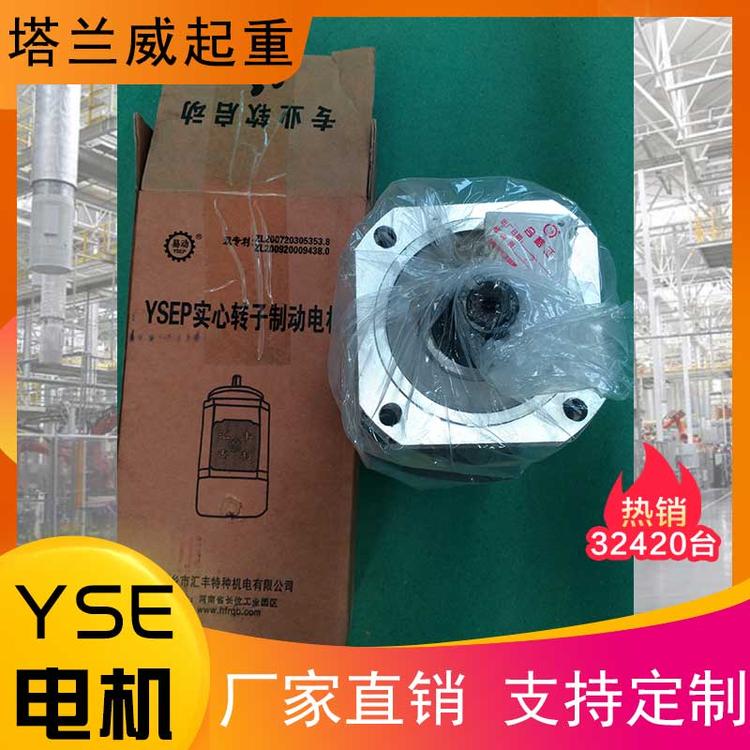 YSE电机 防爆 隔爆电机 变频电机 锥型电机 高效率YSE电机 三相异步电机 厂家直销