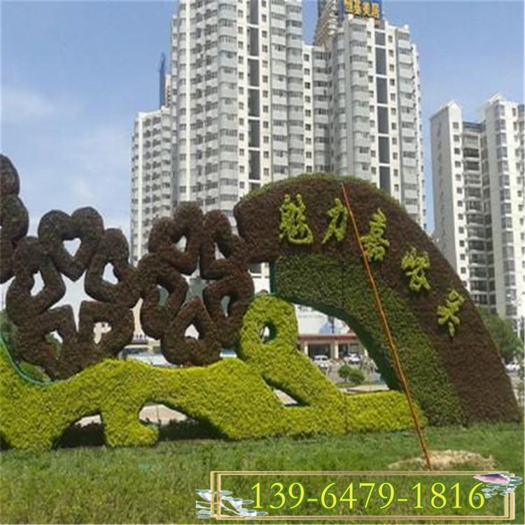 绿五色草价格 五色草造型 立体花坛植物绿雕