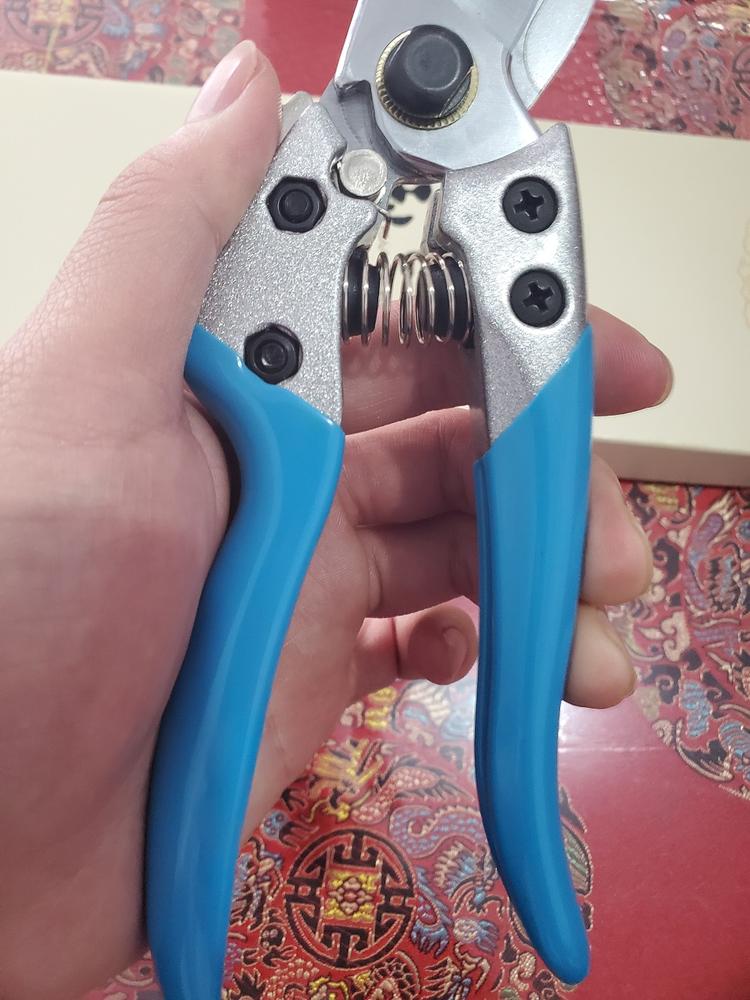 青州凯利德进军园林园艺剪刀家用剪花枝修剪树枝剪刀果枝剪修花剪刀修枝剪刀