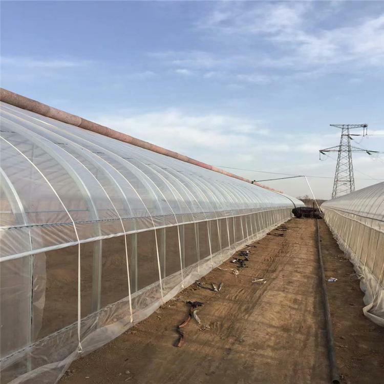 批发椭圆管大棚骨架 连栋薄膜温室大棚 日光温室大棚 欢迎咨询鋆成兴达