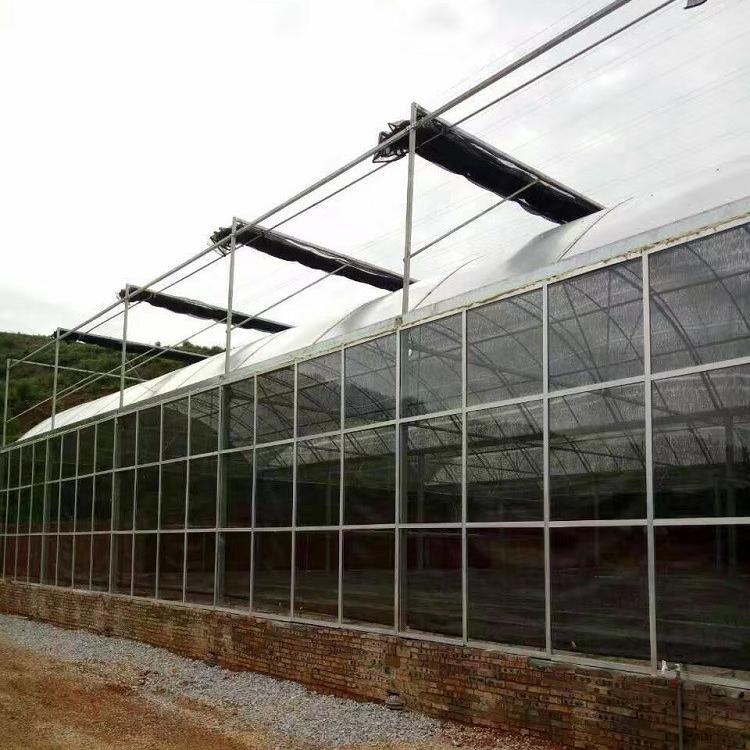 薄膜温室价格 薄膜温室工程 连栋薄膜温室大棚 天之蓝温室