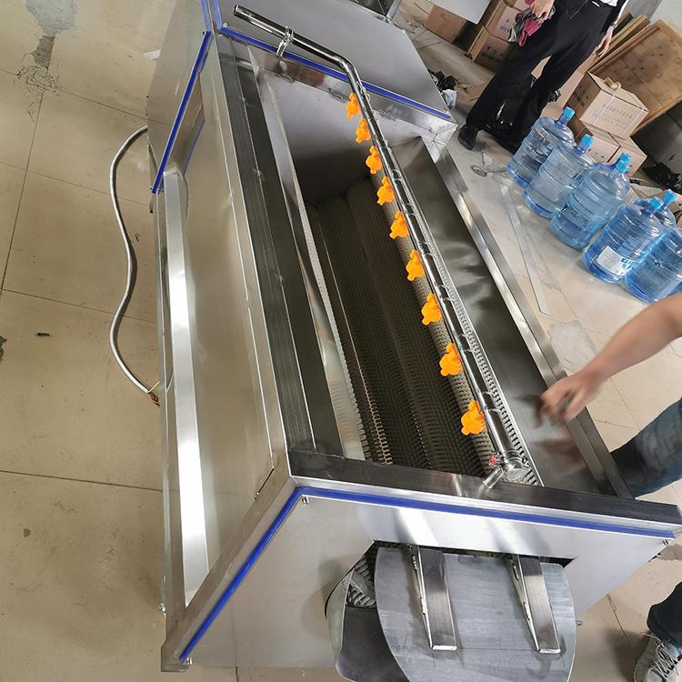 喷淋式毛辊清洗设备 蔬菜毛刷清洗机供应商 毛刷清洗机厂家出售