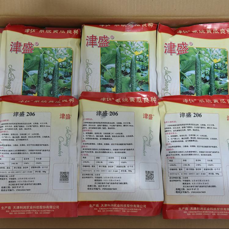 寿光黄瓜种子常年销售 寿光常年销售