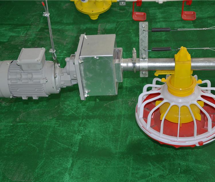 肉鸡专用喂料线  厂家直销价格  养鸡设备全自动化料线