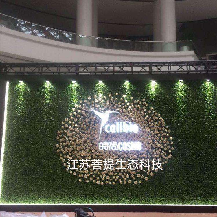 上海绿植墙公司 仿真植物墙 立体绿化  活体植物墙  绿色植物墙
