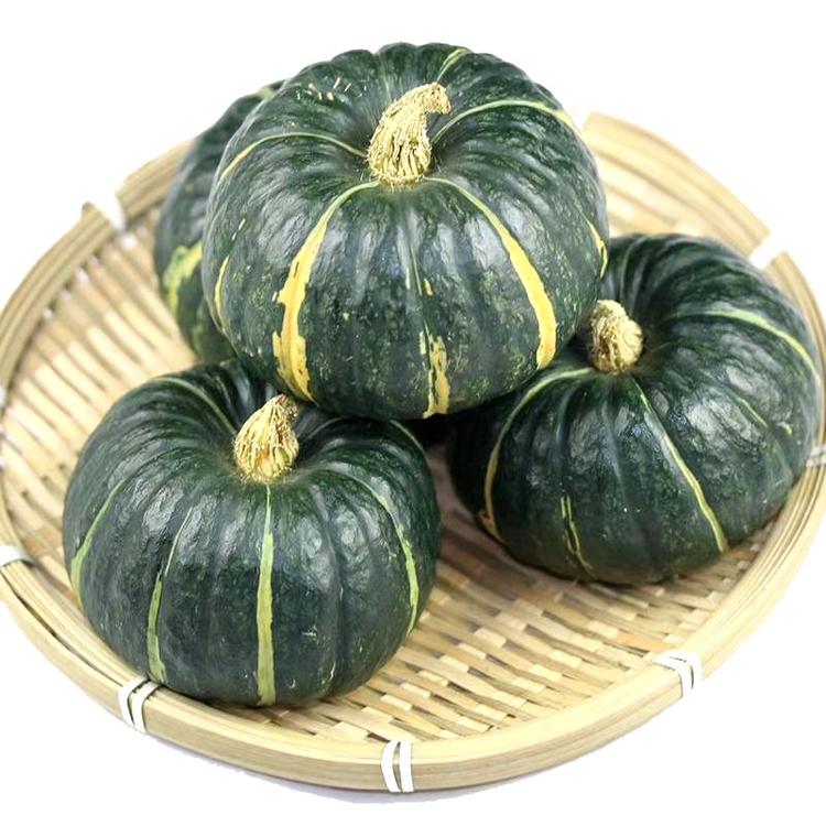 板栗南瓜 贝贝南瓜 一件代发 沙漠贝贝南瓜种植基地
