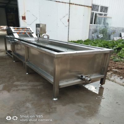 大型蔬菜清洗机  全自动蔬菜清洗流水线 现货销售多功能蔬菜清洗机设备