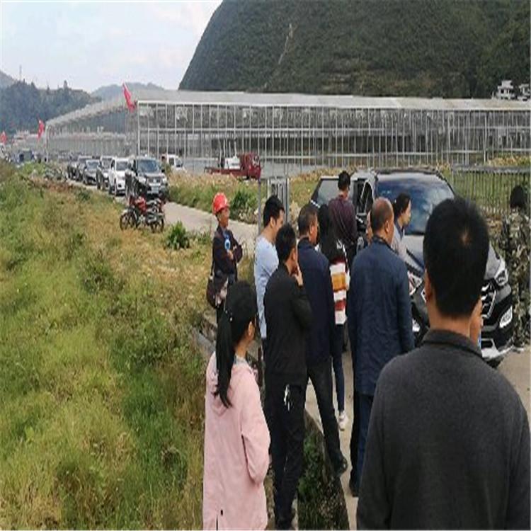 联栋温室大棚建设 全国范围承建 模范厂家服务至上 温室大棚 联动温室 欢迎咨询