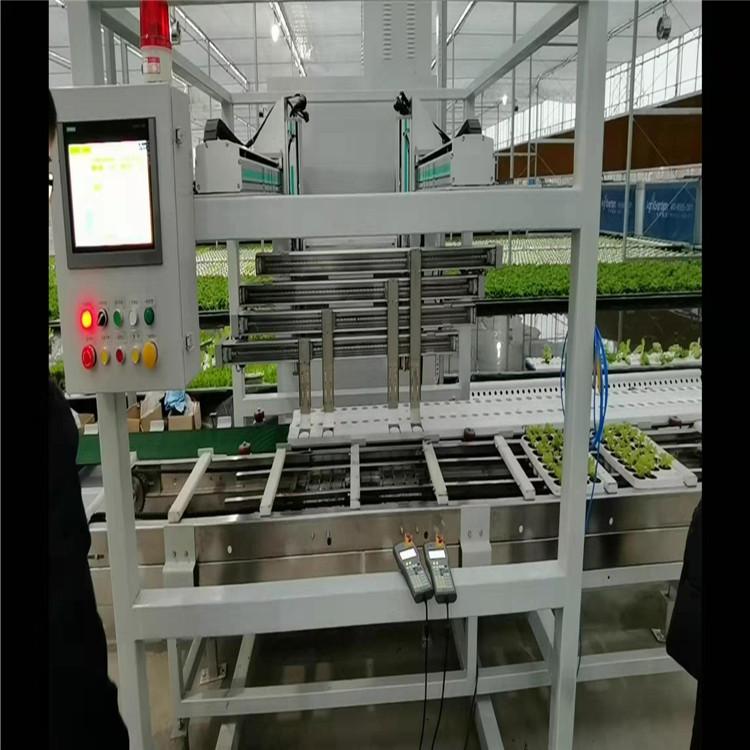 无土栽培技术 水培叶菜系统 水培培叶菜自动化生产系统 欢迎咨询