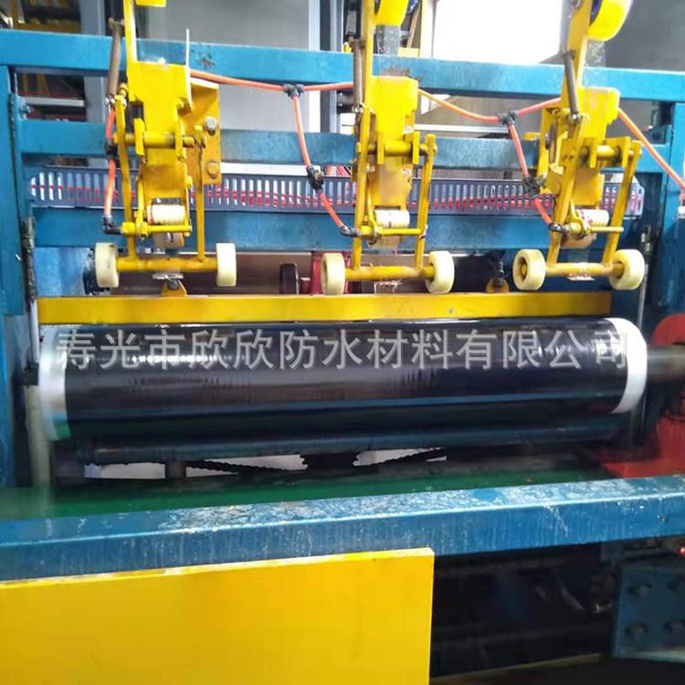 红芯耐根穿刺防水卷材 强力交叉膜高分子自粘防水卷材