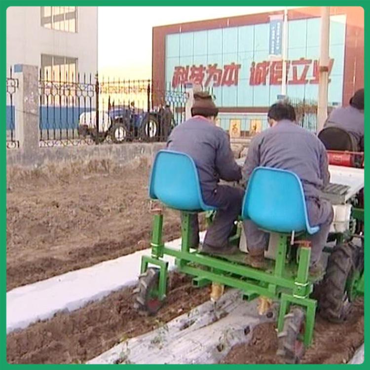 花卉移栽机 华龙移栽机 青州移栽机厂家 质优价廉