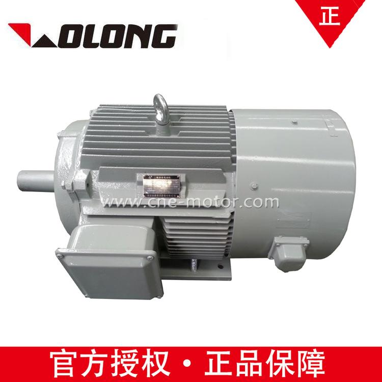 Wolong电气南阳防爆YP400L-8 315KW高效率380V IP55低压三相异步电机
