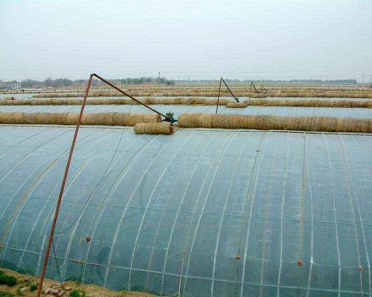 日光温室-日光温室承建订购-全国温室承建