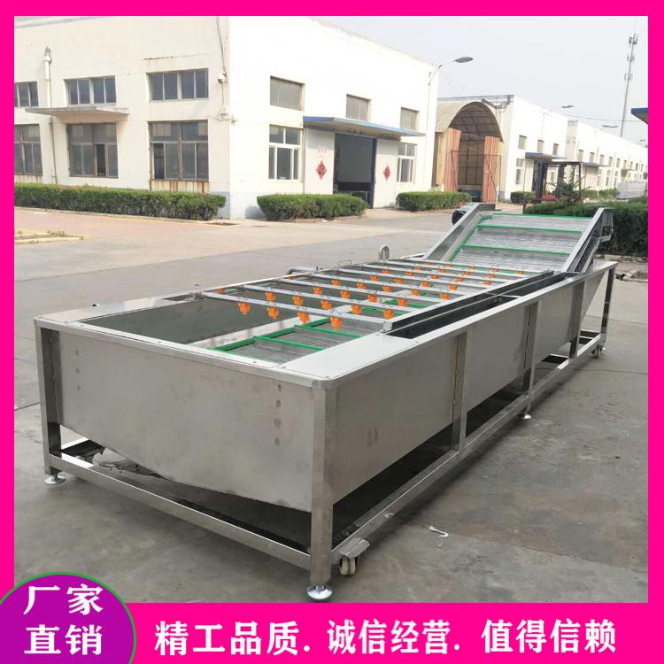供应芥菜清洗机 余甘子苏籽气泡清洗机 全自动叶菜类蔬菜清洗机 土橄榄清洗设备