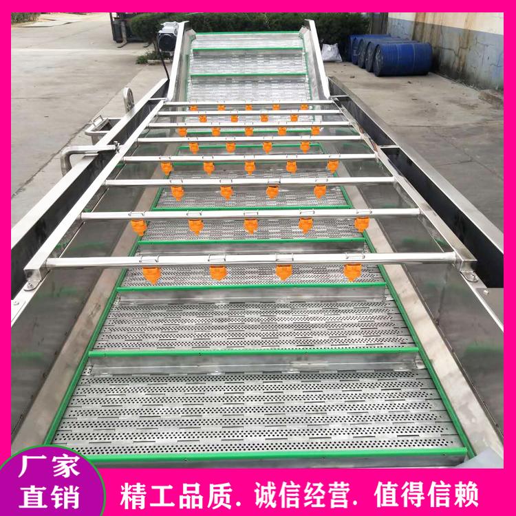 余甘子苏籽清洗机 水果蔬菜清洗生产线 沙棘牛奶果清洗机 工业用气泡式洗鸭梨机器