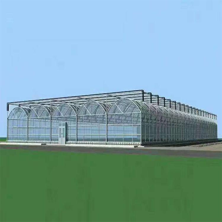 蔬菜玻璃温室建设 山东薄膜温室 鑫创温室建设公司