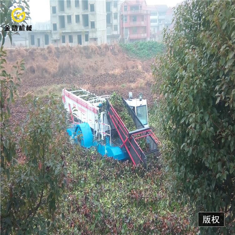 水葫芦粉碎打捞船  江西垃圾打捞船