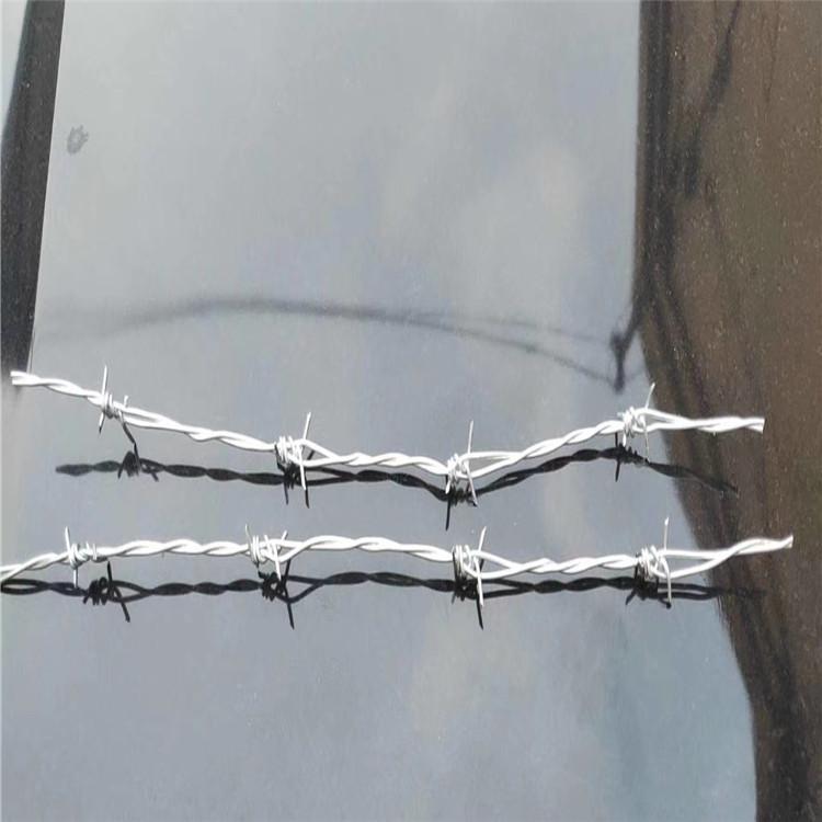 厂家供应 铁藤棘滚笼防爬刀片刺绳  可定制飞腾刺绳