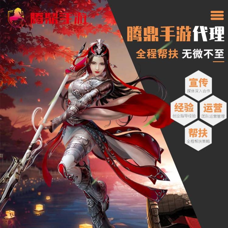 游戏代理公司  专人指导 运营支持 售后支持