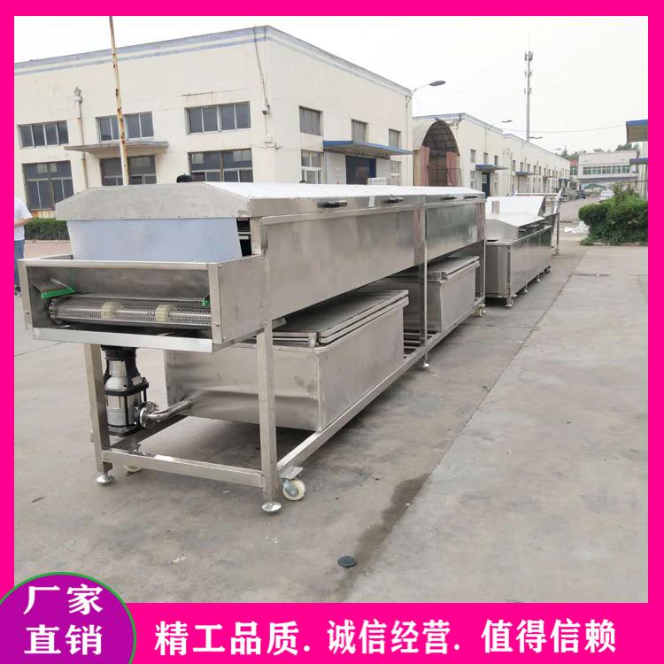 大白菜橄榄菜清洗设备 多功能气泡清洗流水线 全自动蕨菜山野菜清洗加工设备
