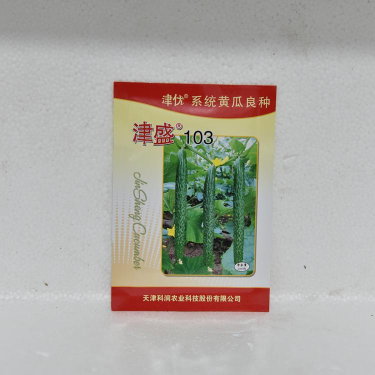 抗死棵科润黄瓜种子培育基地 抗死棵培育基地