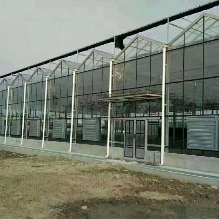 玻璃温室承建全国-玻璃花卉生态温室-山水合