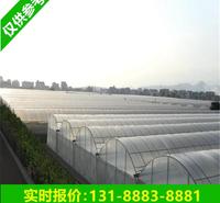 薄膜温室大棚城建项目 <em>农业</em>大棚投资费用