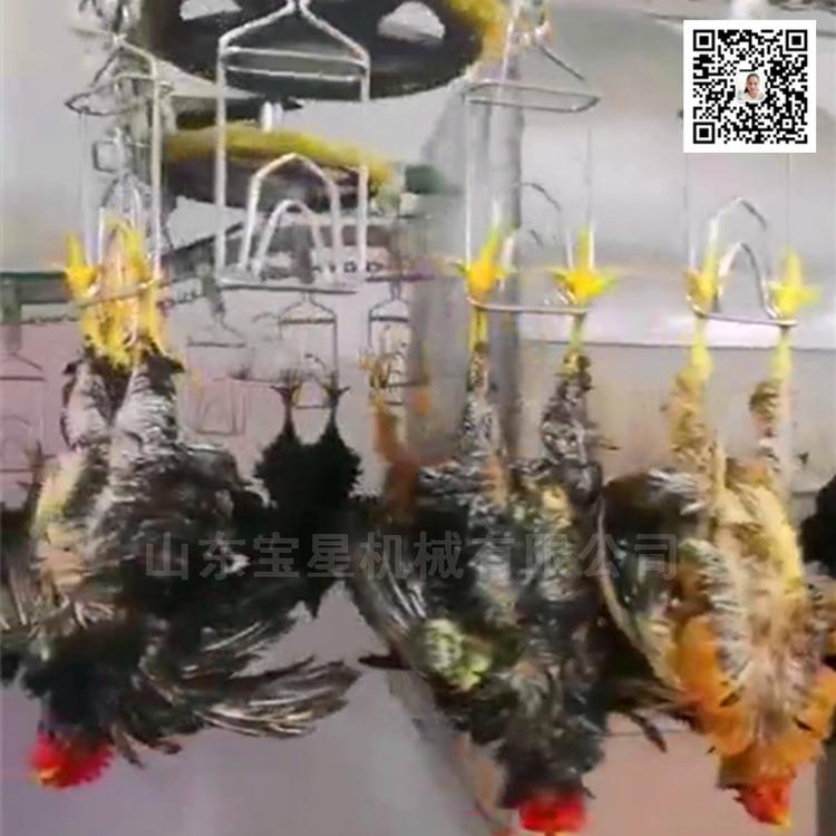 嘉兴  肉鸡屠宰流水线--公鸡宰杀生产线--整套杀鸡线机器