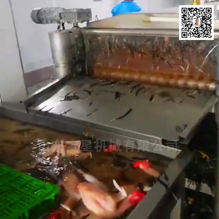 杭州  肉鸡屠宰流水线--公鸡宰杀生产线--整套杀鸡线机器