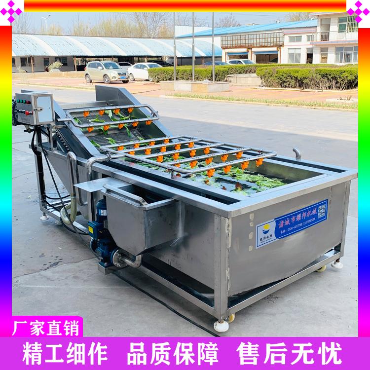 酱菜气浴清洗机 花生枸杞气泡清洗机 多功能果蔬清洗机 蔬菜深加工清洗设备