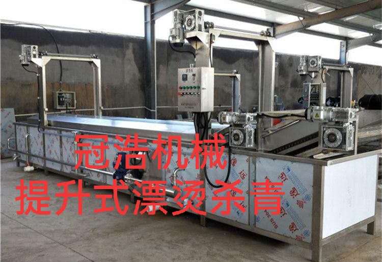 提升式漂烫流水线 自动升降漂烫机 带升降式预煮机  果蔬提升式漂烫杀青机