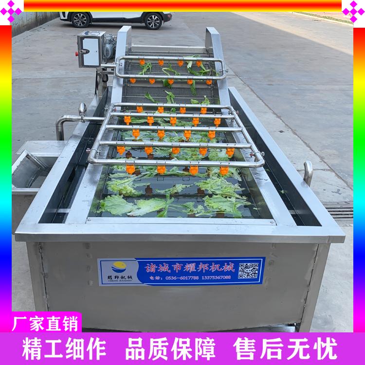 果蔬气浴翻浪清洗机 秋葵气泡清洗机 山楂清洗机 多功能白菜清洗机 净菜深加工清洗设备