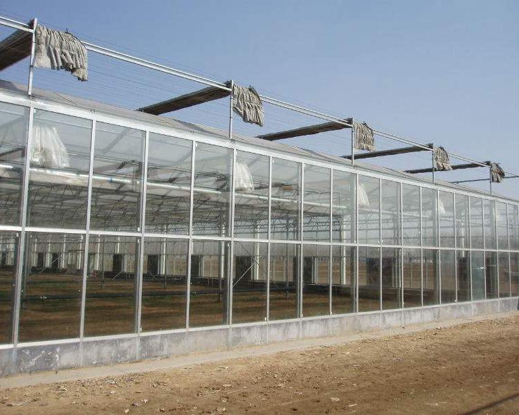 厂家热销温室大棚-各类型温室大棚承建-山水合
