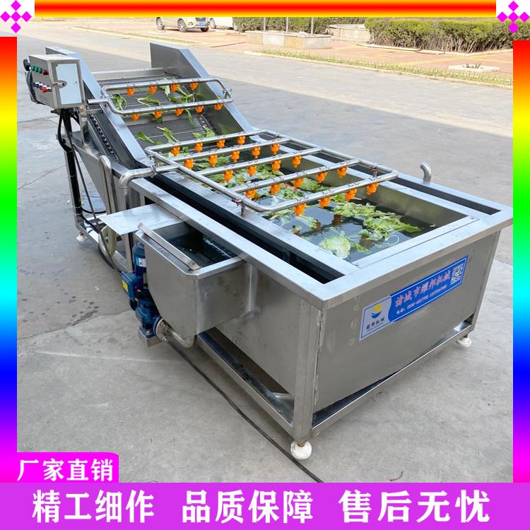 全自动枸杞清洗机 枸杞大枣沙棘清洗机 冲浪式果蔬清洗机 中药材喷淋气泡清洗机