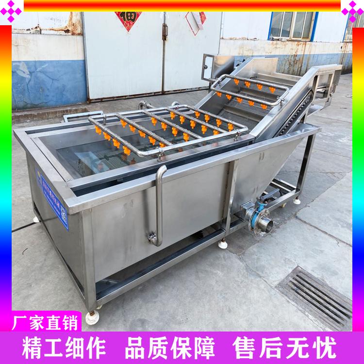 厂家生产无花果臭氧清洗机 气泡枸杞清洗机 净菜加工生产线 全自动净菜加工设备厂家