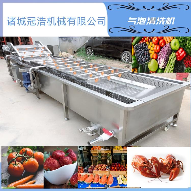 多功能果蔬清洗机 大姜姜牙去泥清洗机 海带鱿鱼小龙虾清洗机